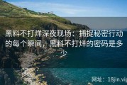 黑料不打烊深夜现场：捕捉秘密行动的每个瞬间，黑料不打烊的密码是多少