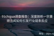 91chigua调查报告：深度剖析一宗重磅丑闻如何引发行业链条反应