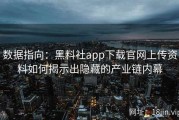 数据指向：黑料社app下载官网上传资料如何揭示出隐藏的产业链内幕
