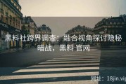 黑料社跨界调查：融合视角探讨隐秘暗战，黑料 官网