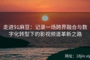 走进91麻豆：记录一场跨界融合与数字化转型下的影视频道革新之路