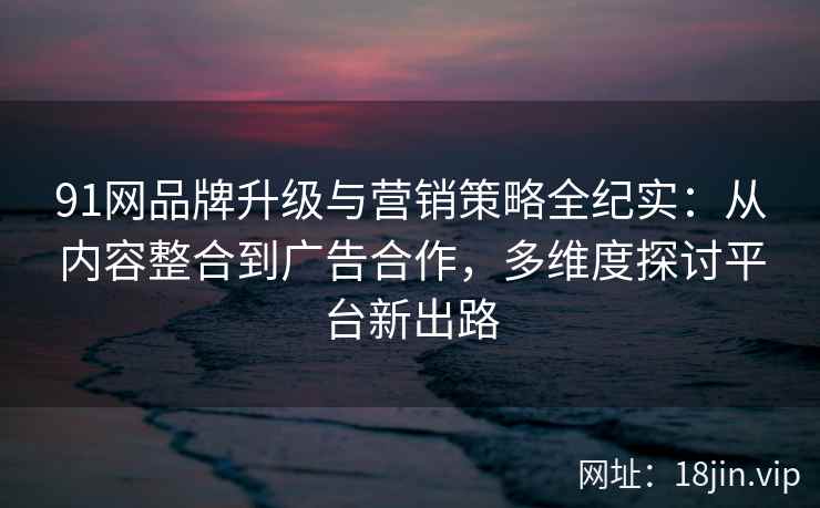 91网品牌升级与营销策略全纪实：从内容整合到广告合作，多维度探讨平台新出路