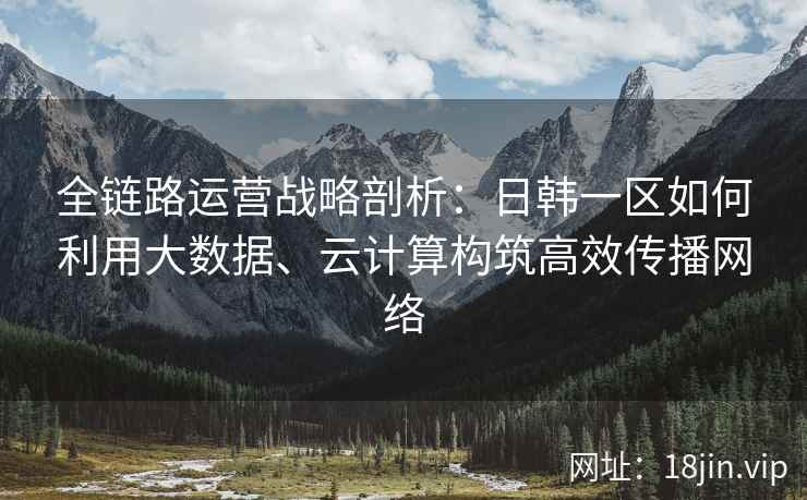全链路运营战略剖析：日韩一区如何利用大数据、云计算构筑高效传播网络