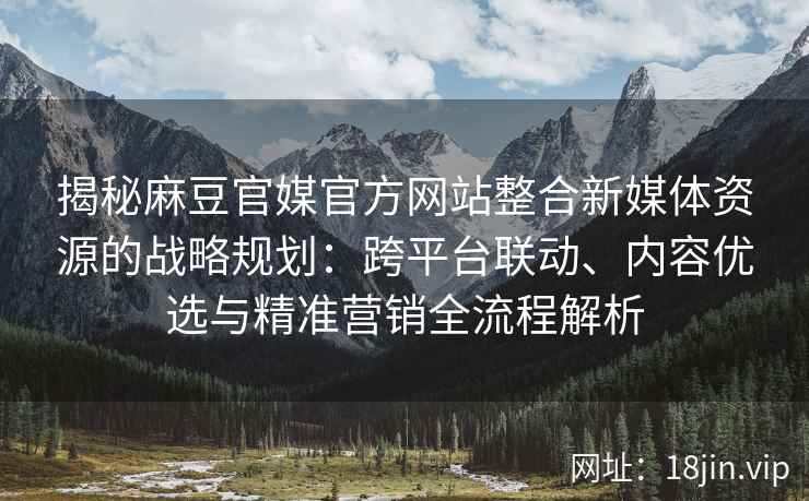 揭秘麻豆官媒官方网站整合新媒体资源的战略规划：跨平台联动、内容优选与精准营销全流程解析