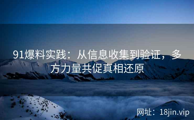 91爆料实践：从信息收集到验证，多方力量共促真相还原