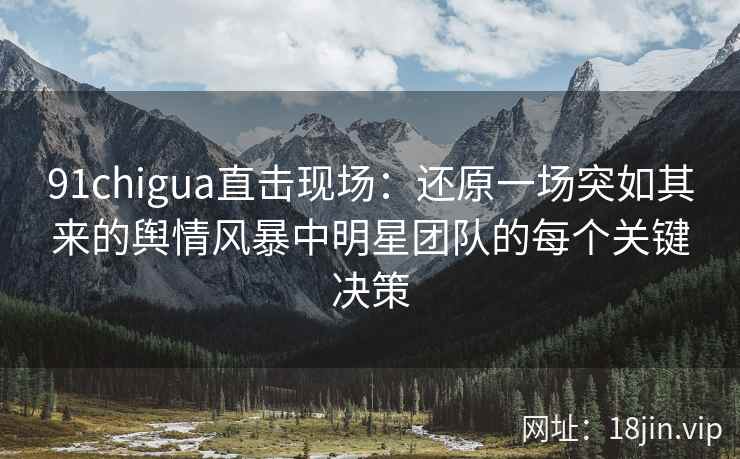 91chigua直击现场：还原一场突如其来的舆情风暴中明星团队的每个关键决策